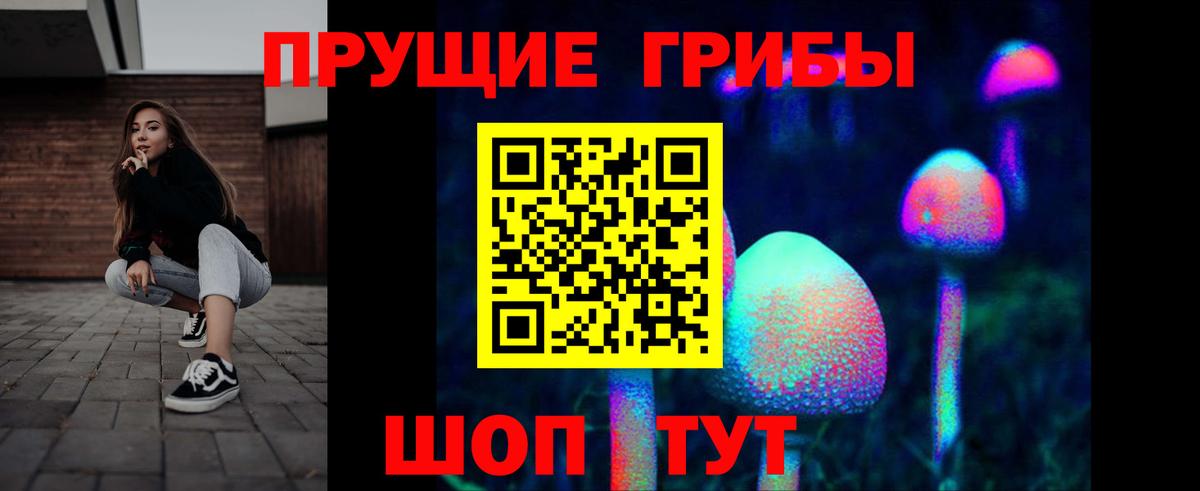 Псилоцибиновые грибы Cubensis  Псилоцибиновые грибы Cubensis  Вход с VPN  Алексин 